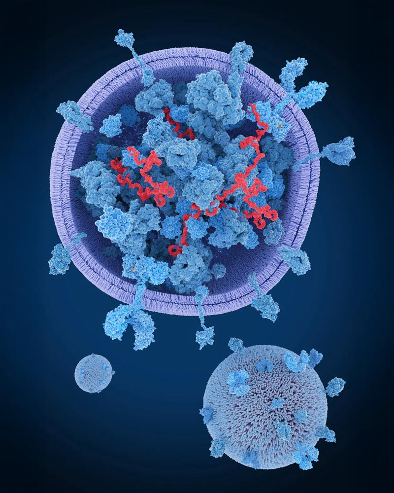 Exosomen: De Revolutionaire Plantaardige Celcommunicatoren