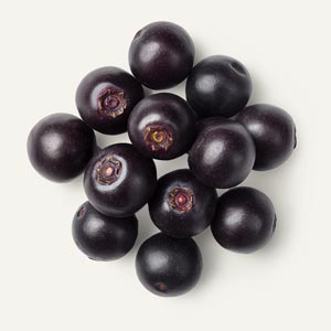 Acai Stamcellen