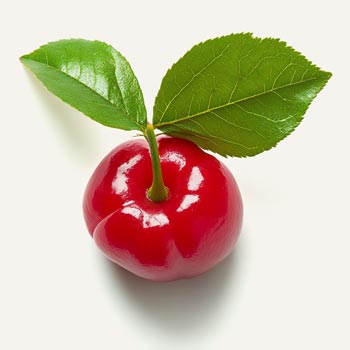 Acerola Bioferment
