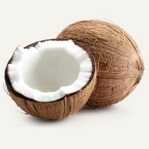 Kokos Olie
