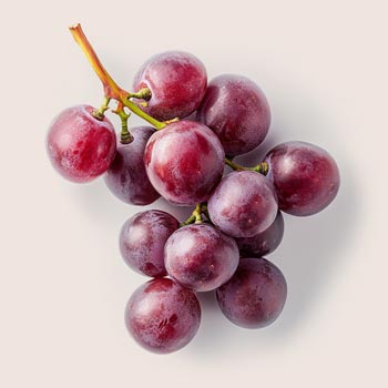 Resveratrol Bioferment