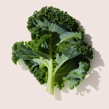 Boerenkool Proteïne