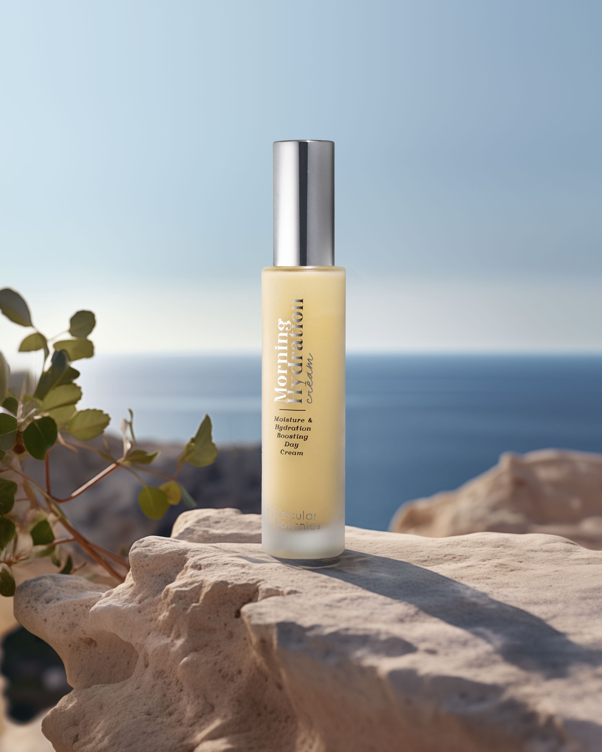 Morning Hydration Cream