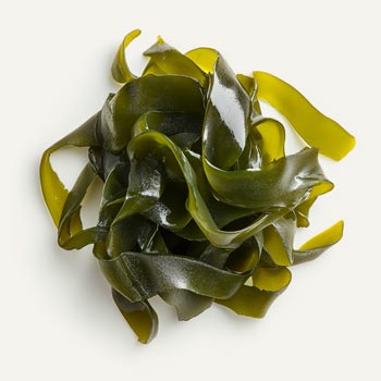 Wakame Bioferment