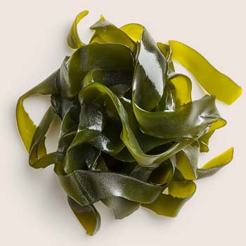 Wakame Bioferment