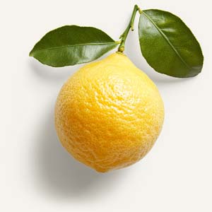 Yuzu