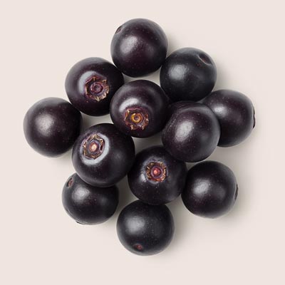 Acai Stamcellen