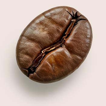 Cafeïne Liposome