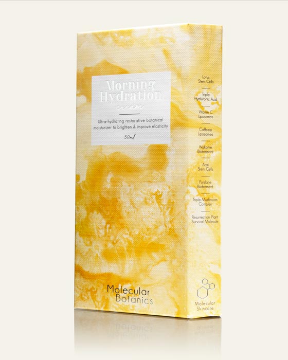 Morning Hydration Cream
