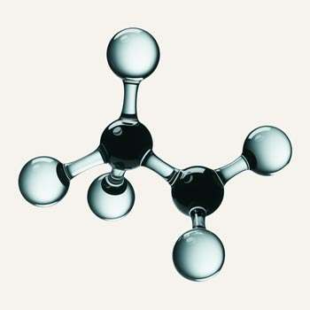 Octapeptide
