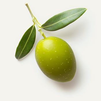 Olijf Polyfenol Bioferment