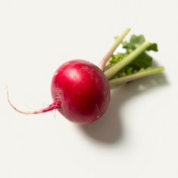 Radijs Bioferment