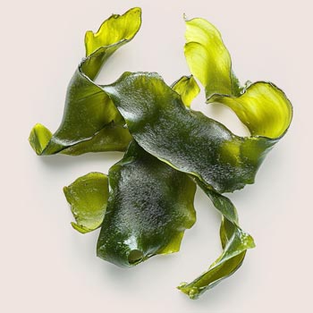 Spirulina