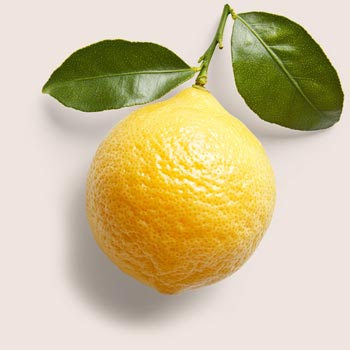 Yuzu